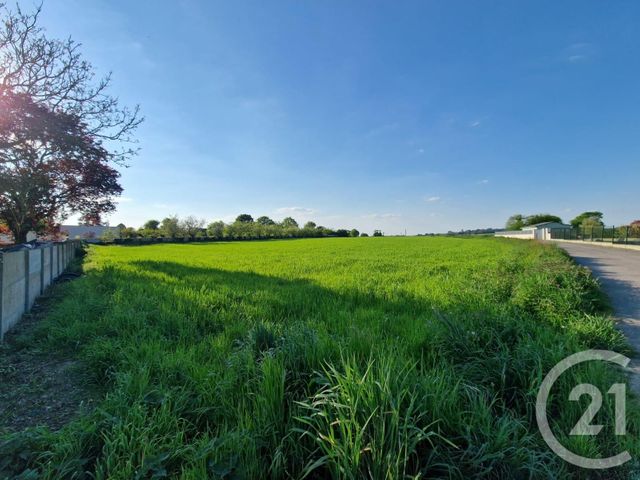 terrain à vendre - 5280.0 m2 - MAURON - 56 - BRETAGNE - Century 21 Dréano Immobilier