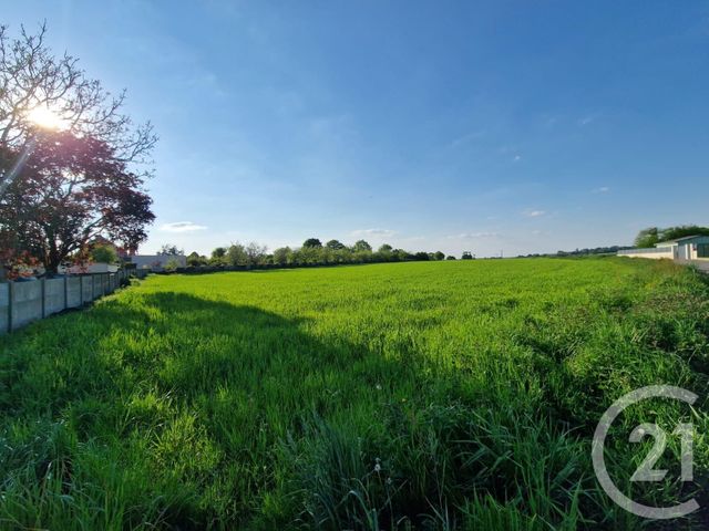 Terrain à vendre MAURON