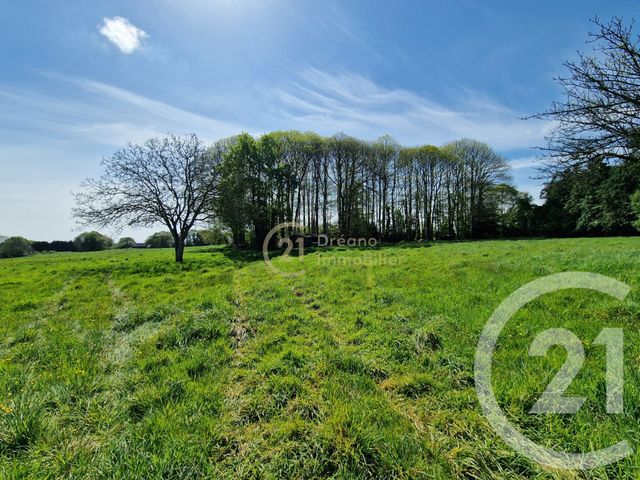 maison à vendre - 8 pièces - 158.47 m2 - MENEAC - 56 - BRETAGNE - Century 21 Dréano Immobilier