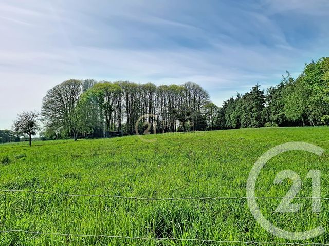 maison à vendre - 8 pièces - 158.47 m2 - MENEAC - 56 - BRETAGNE - Century 21 Dréano Immobilier